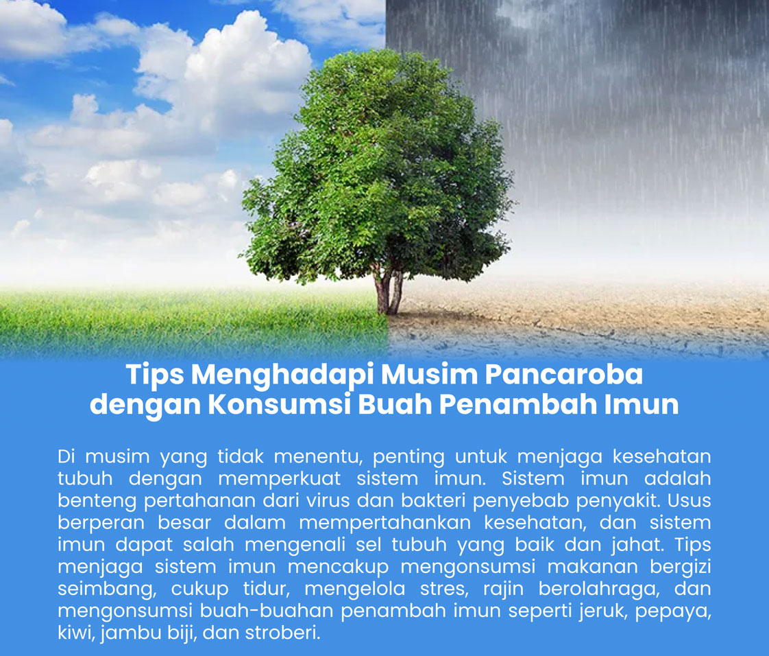 group-928.1720498594623