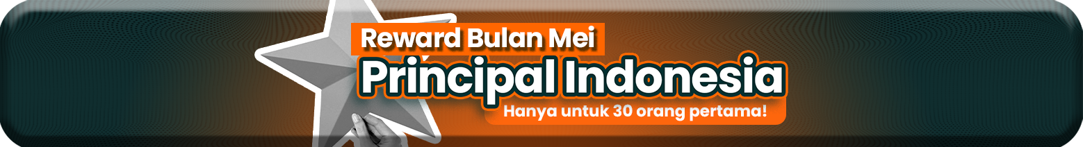 mini-banner-pi.1683104822857