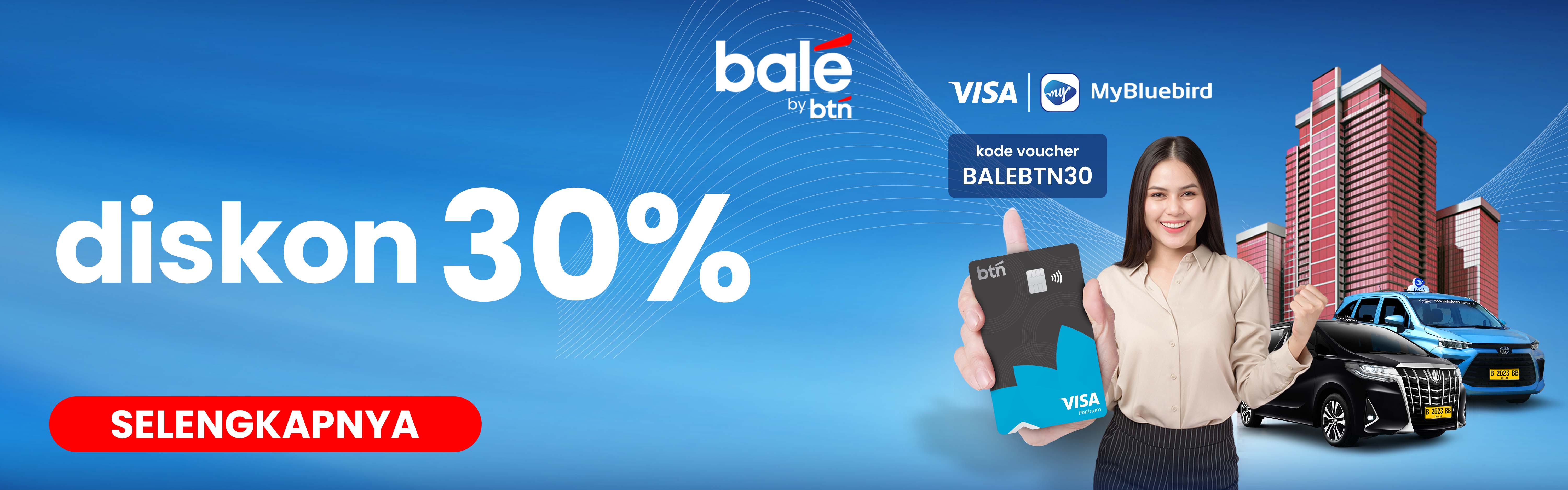 bluebird6000x1875.1734075194486